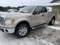 2010 F150