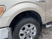 2010 F150